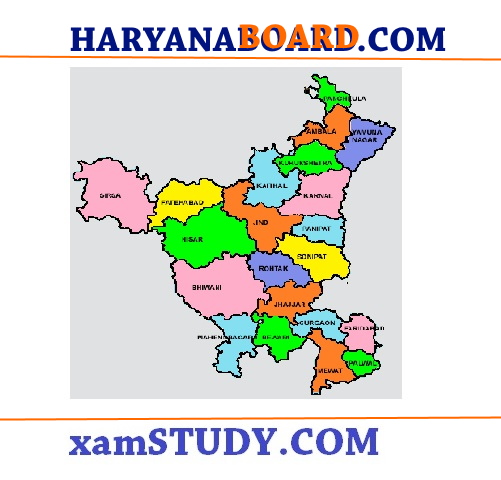 Haryana DELED PAPERS